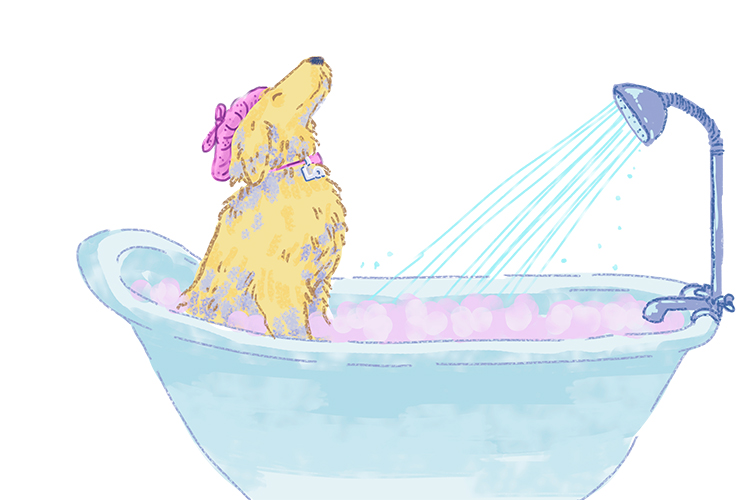 Baignoire is feminine, so it's la baignoire. Imagine a Labrador wearing a shower cap in a bathtub.